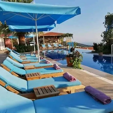 Villa Angelika *
